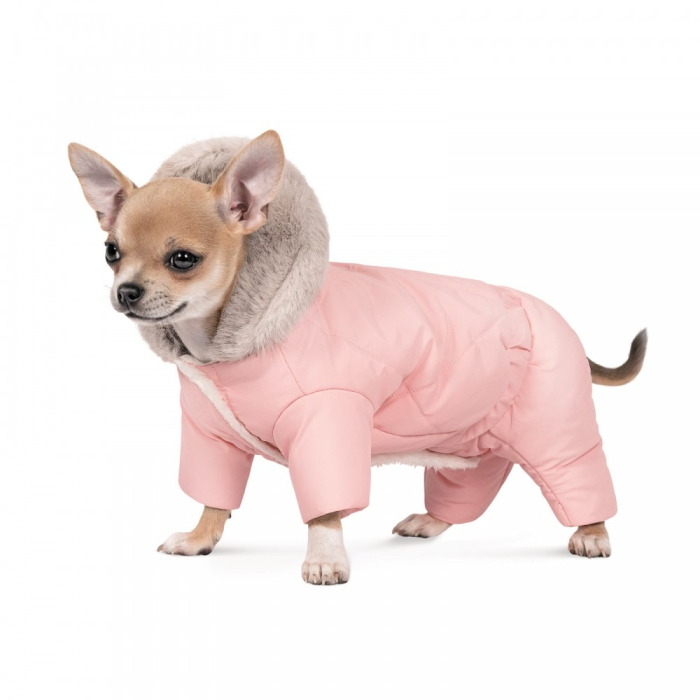  Cloth for dog