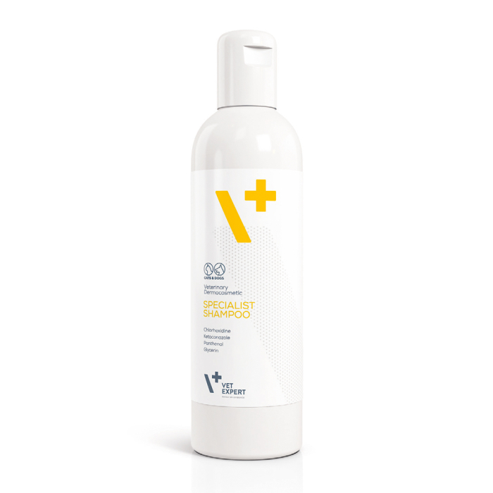 Shampoo
