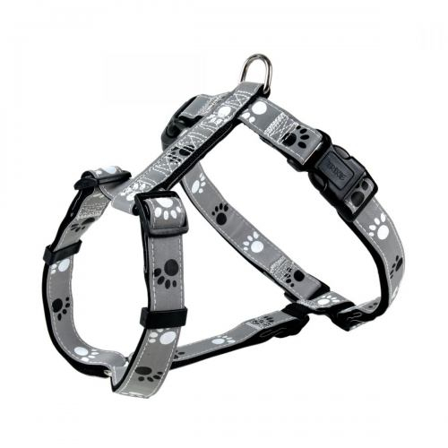 Harness
